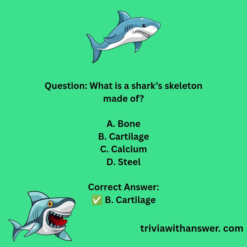 "Shark Trivia Questions and Answers"
