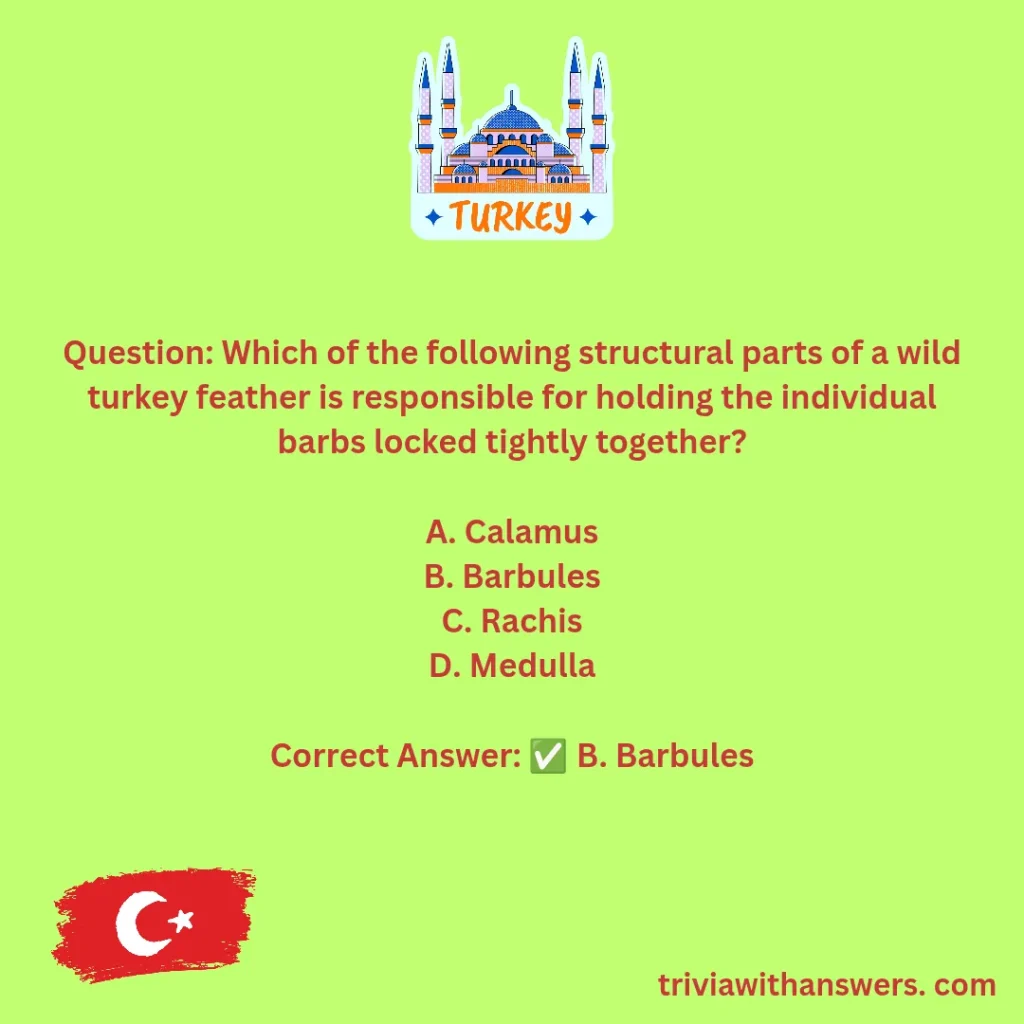 "Turkey Trivia Questions and Answers"