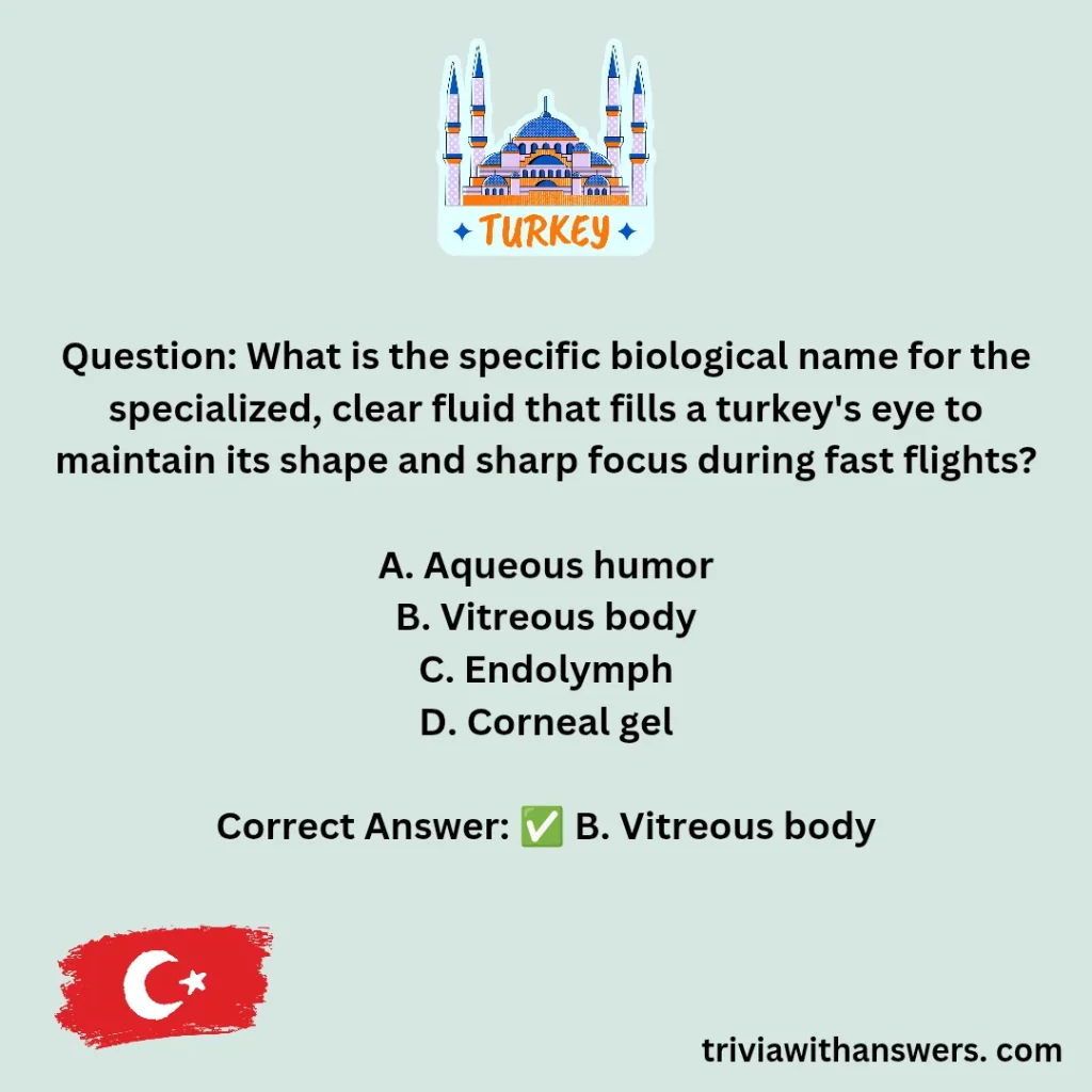 "Turkey Trivia Questions and Answers"