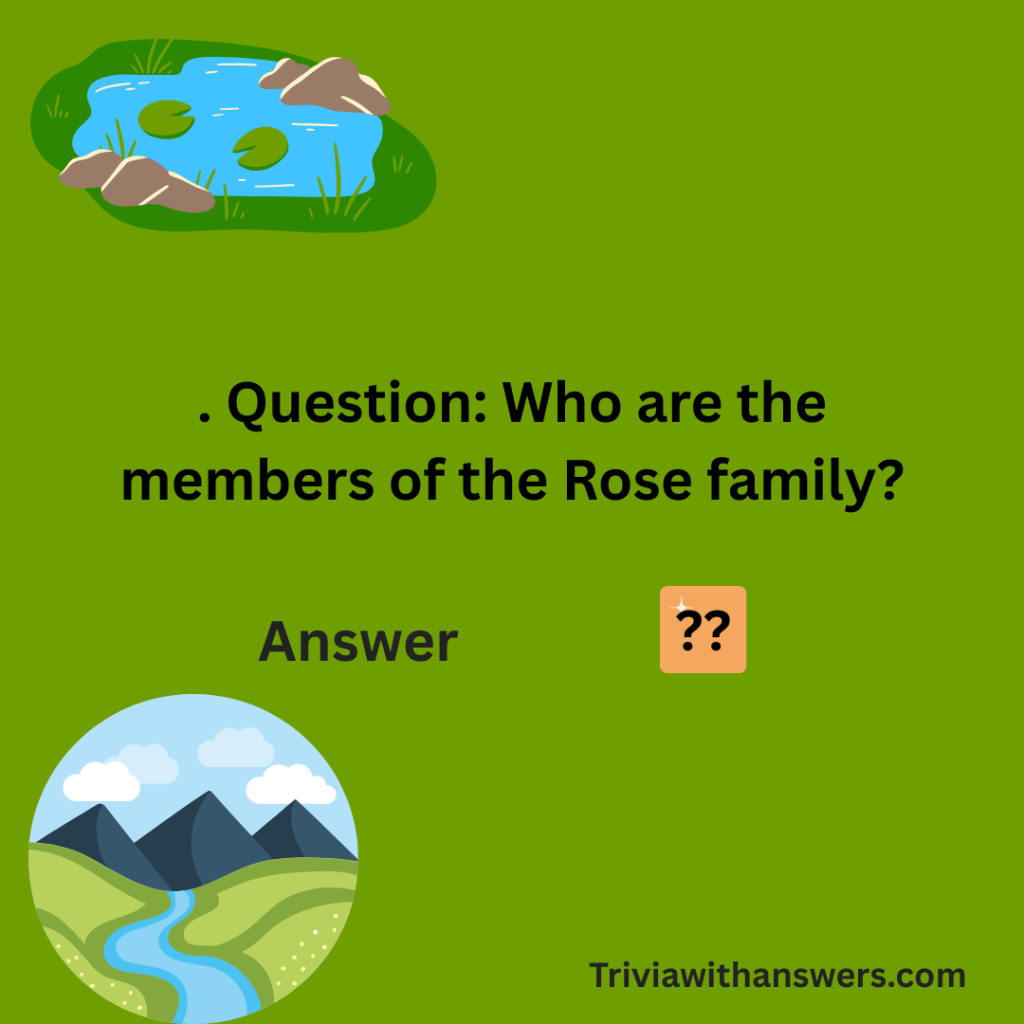 "Schitt’s Creek Trivia Questions and Answers "