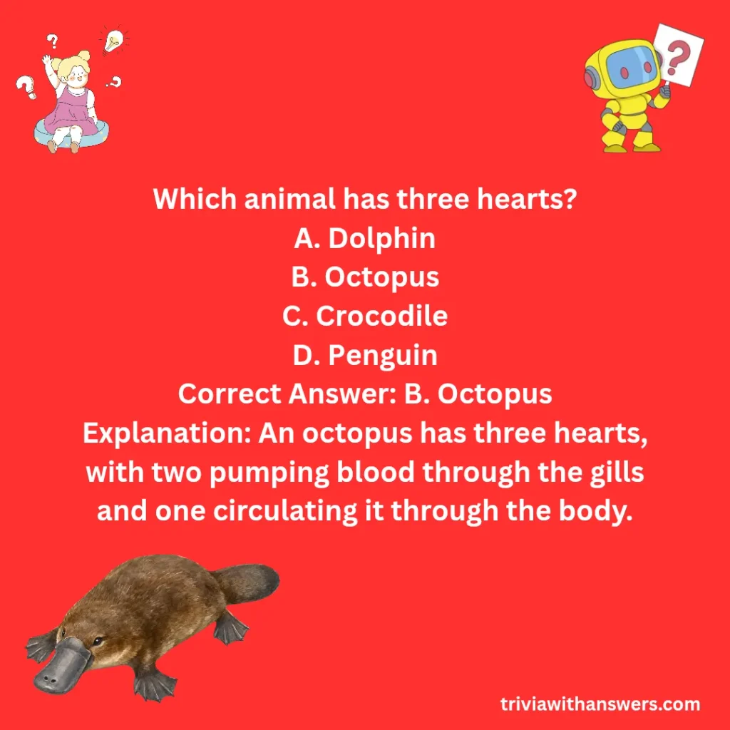 "Platypus Questions and Answers"