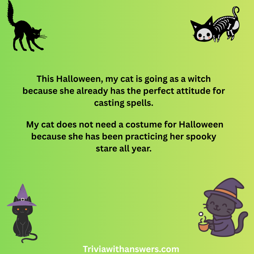 "Cat Halloween Puns"