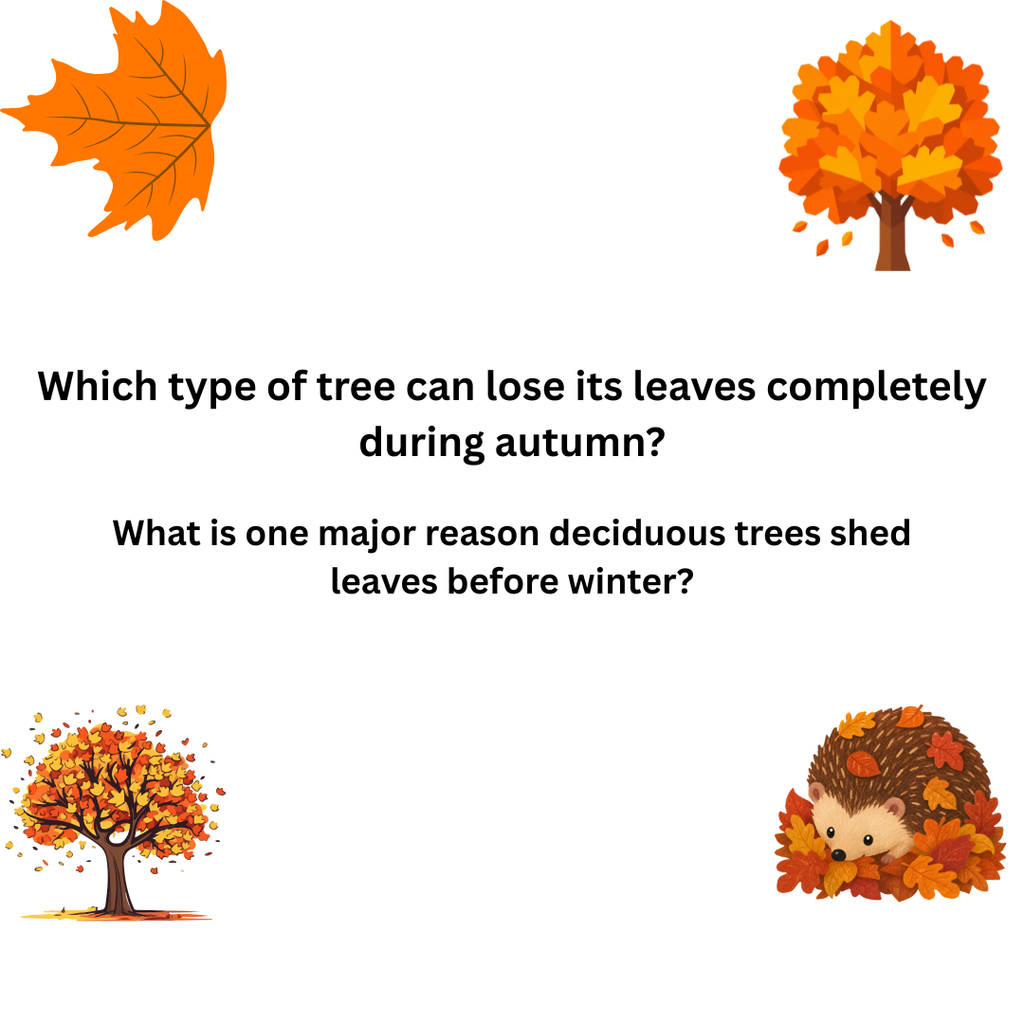 "Fascinating Fall Nature and Science"