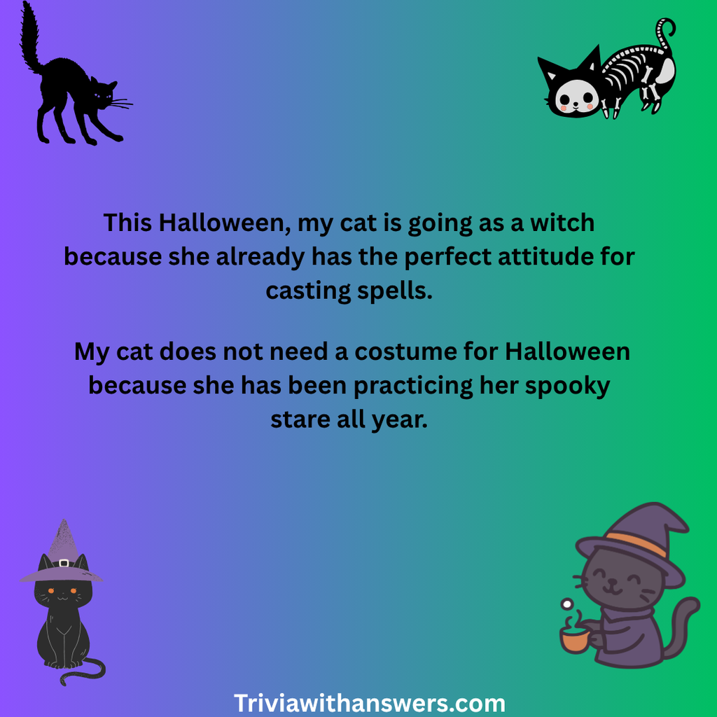 "Cat Halloween Puns"